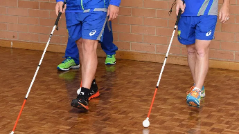 Blind training session with canes